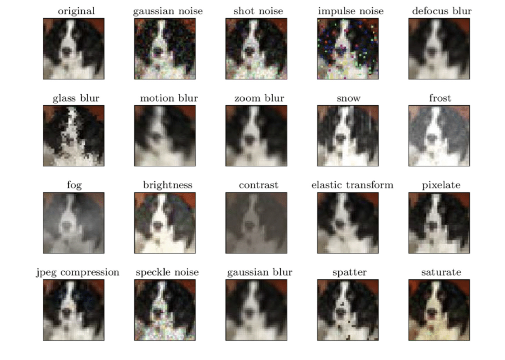 Image 1: Image transformations on CIFAR dataset
